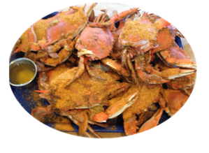crabs circle