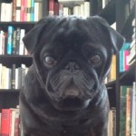 cropped-pug-and-books.jpg