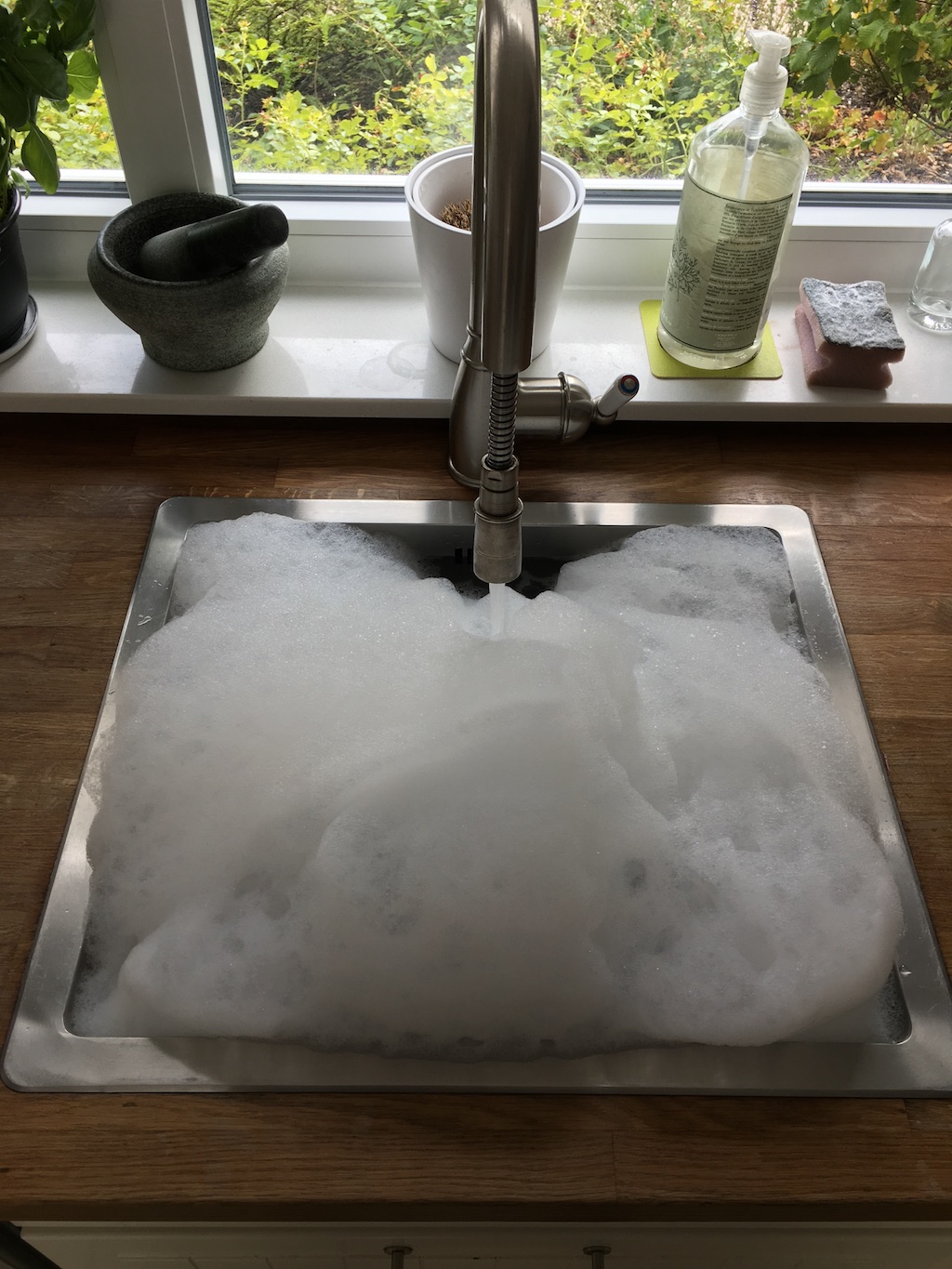 counting suds progect.JPG